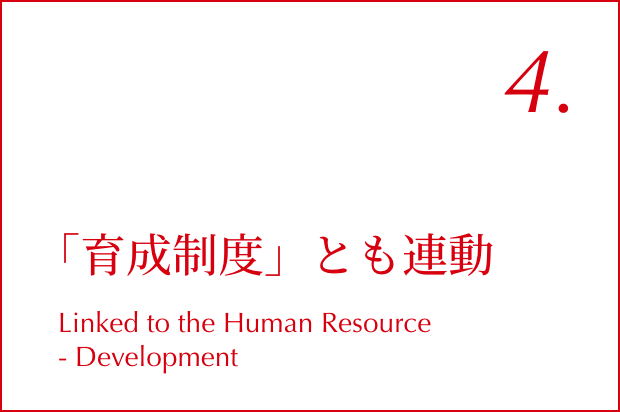 04.「育成制度」とも連動